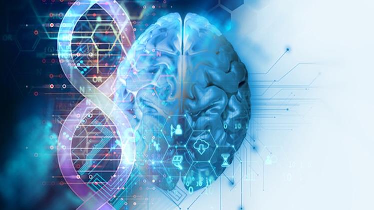 Decoding Thcp And: Variations In Effects And Properties